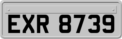 EXR8739