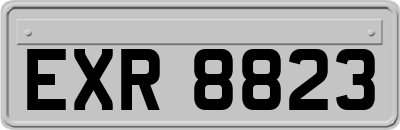 EXR8823