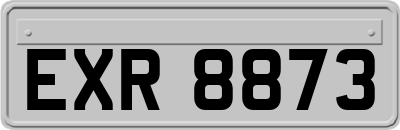 EXR8873