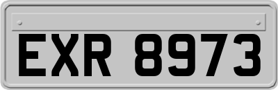 EXR8973