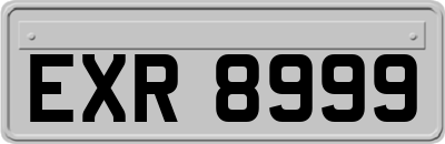 EXR8999