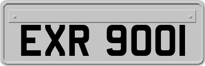 EXR9001