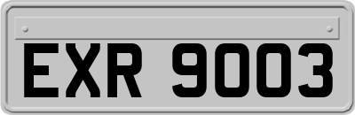 EXR9003