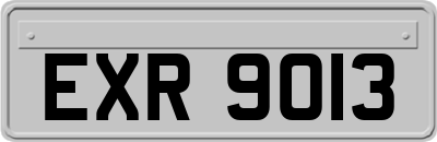 EXR9013