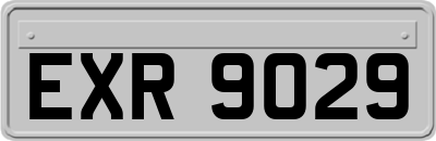 EXR9029