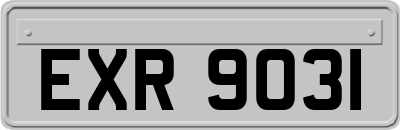 EXR9031