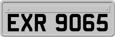 EXR9065