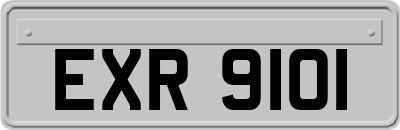 EXR9101