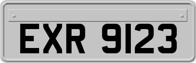 EXR9123