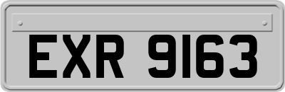 EXR9163