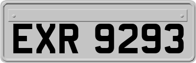 EXR9293