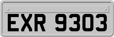 EXR9303