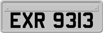 EXR9313