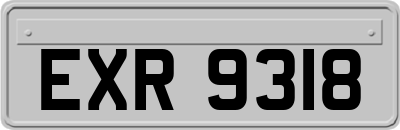 EXR9318