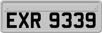 EXR9339