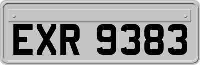 EXR9383
