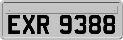 EXR9388