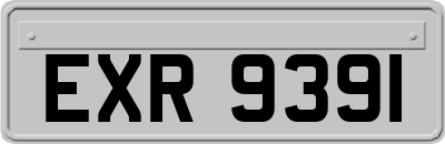 EXR9391
