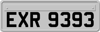 EXR9393