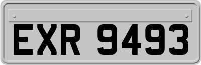 EXR9493