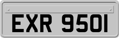 EXR9501