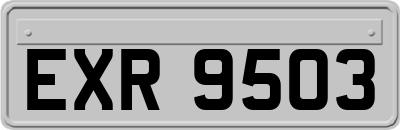 EXR9503