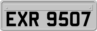 EXR9507