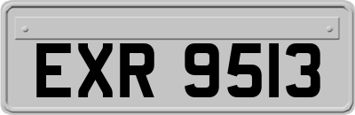 EXR9513