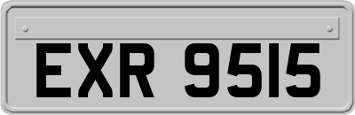 EXR9515