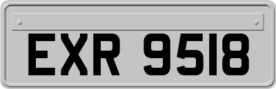 EXR9518