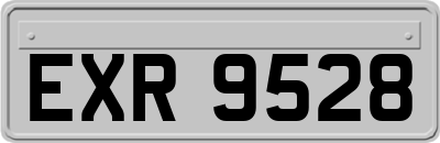EXR9528