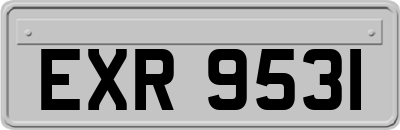 EXR9531