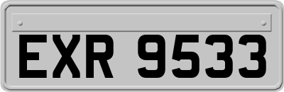 EXR9533