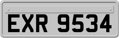 EXR9534