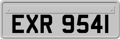 EXR9541