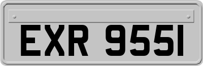 EXR9551