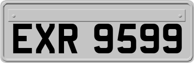 EXR9599