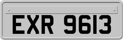 EXR9613