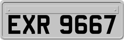 EXR9667