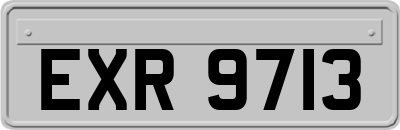 EXR9713