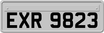 EXR9823