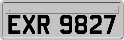 EXR9827