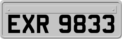 EXR9833