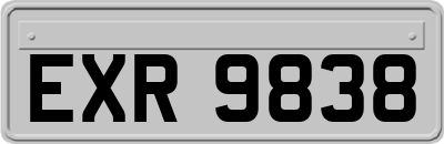 EXR9838