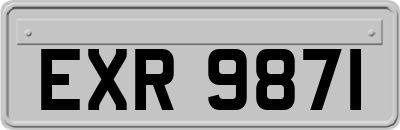 EXR9871