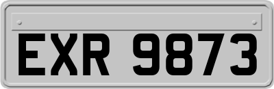 EXR9873