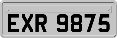 EXR9875