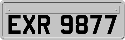 EXR9877