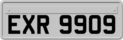 EXR9909