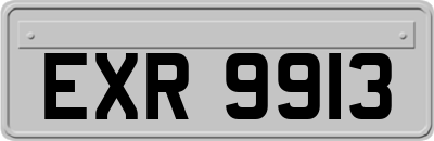 EXR9913